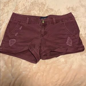 Maroon khaki shorts